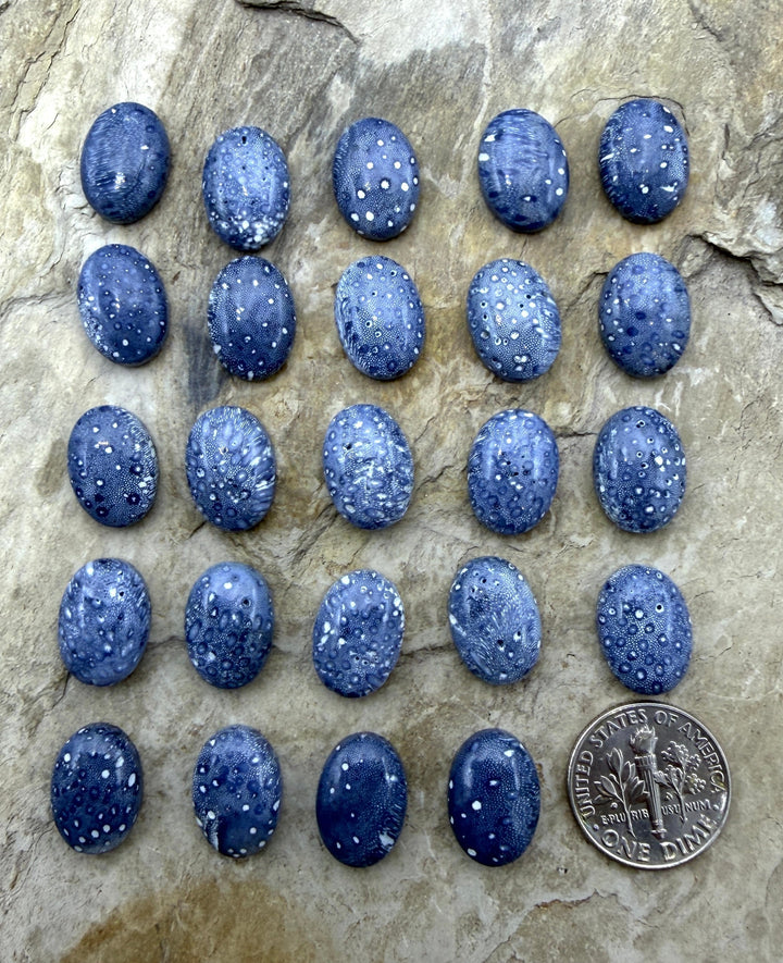 Blue Sponge Coral Calibrated Oval Cabochons 10x14mm Package