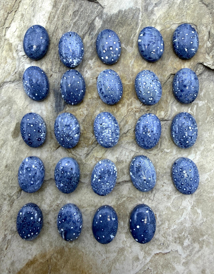 Blue Sponge Coral Calibrated Oval Cabochons 10x14mm Package