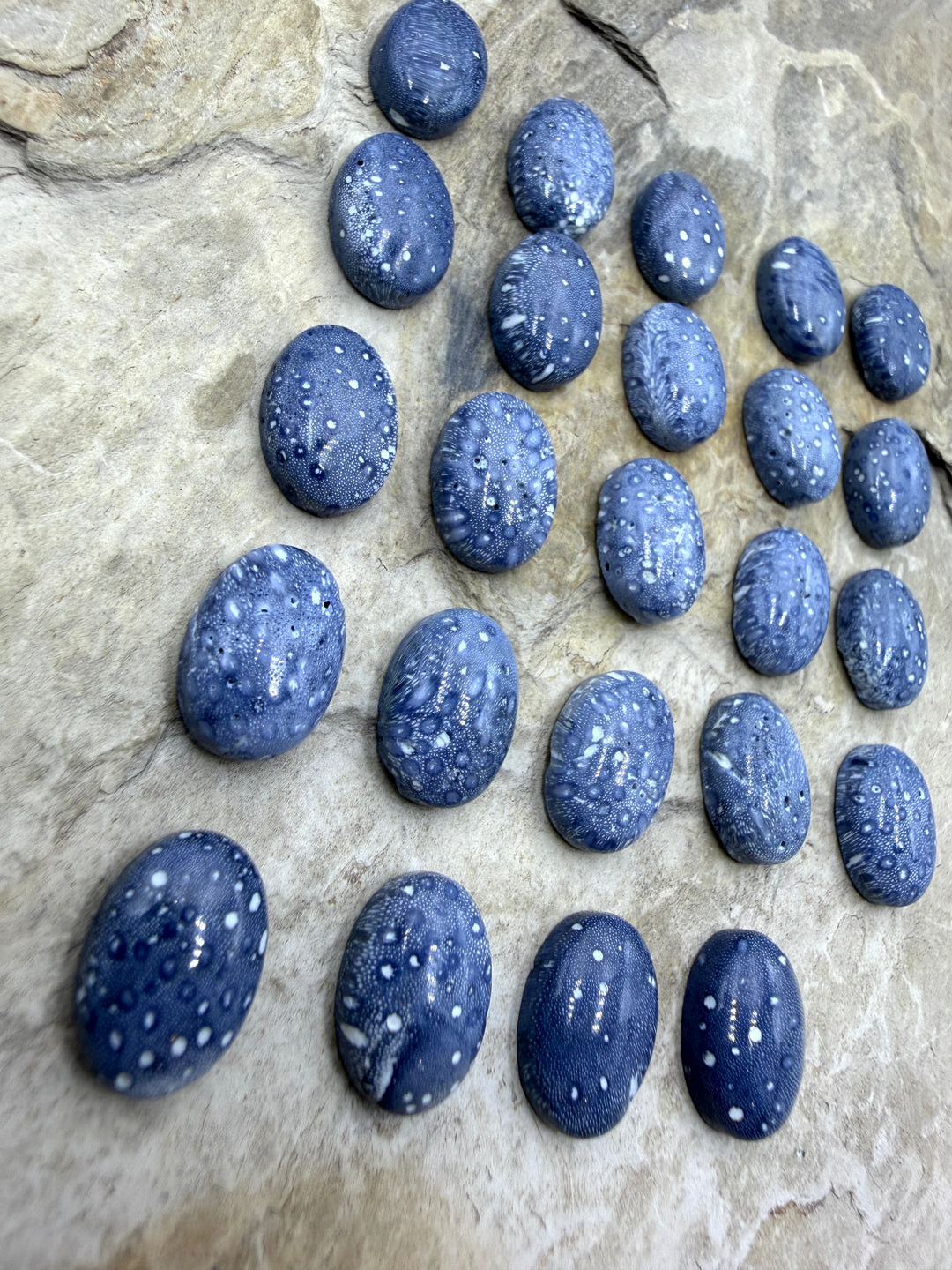 Blue Sponge Coral Calibrated Oval Cabochons 10x14mm Package