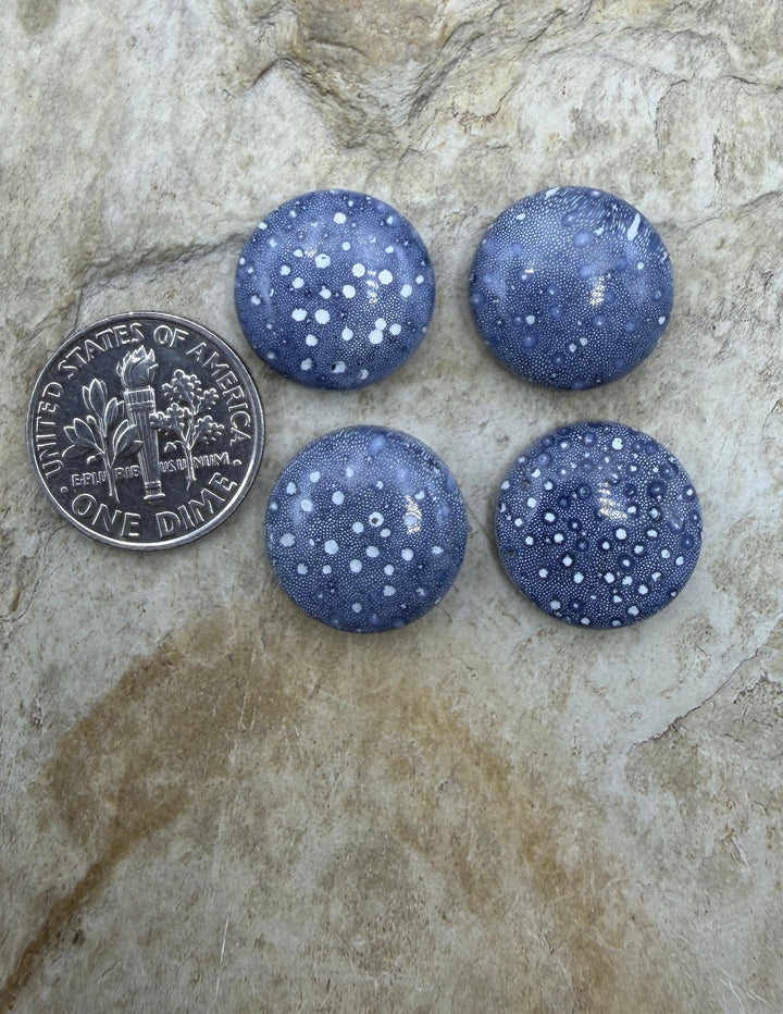 Blue Sponge Coral Calibrated Round Cabochons 15mm