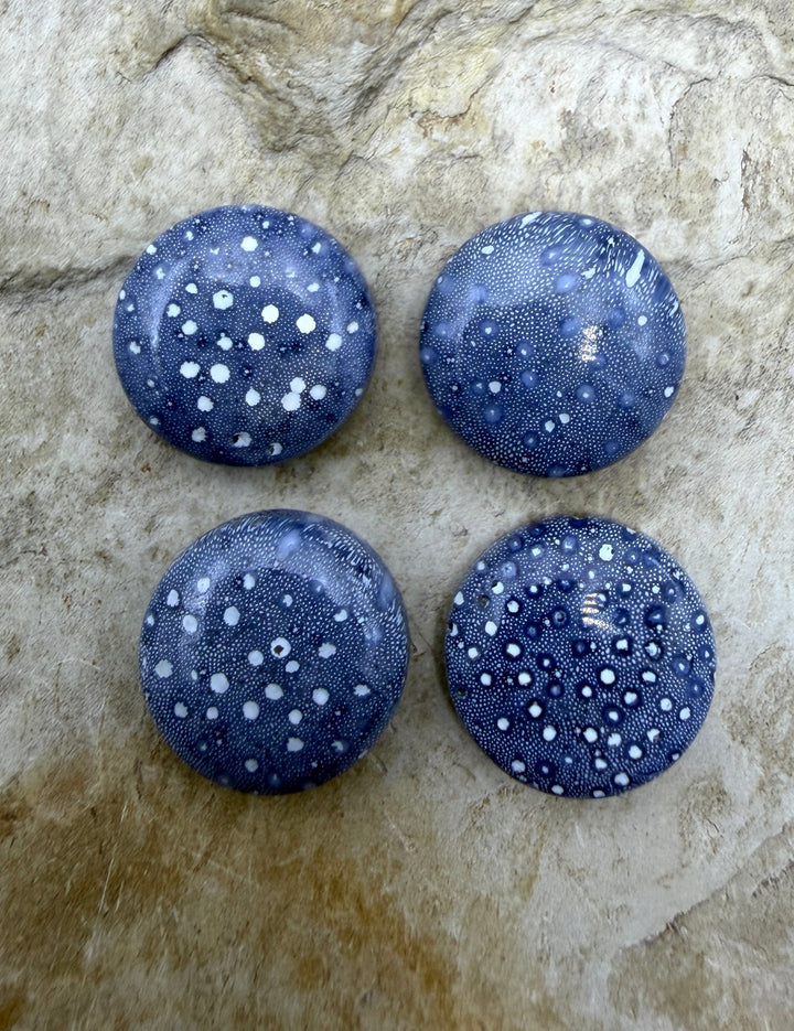Blue Sponge Coral Calibrated Round Cabochons 15mm