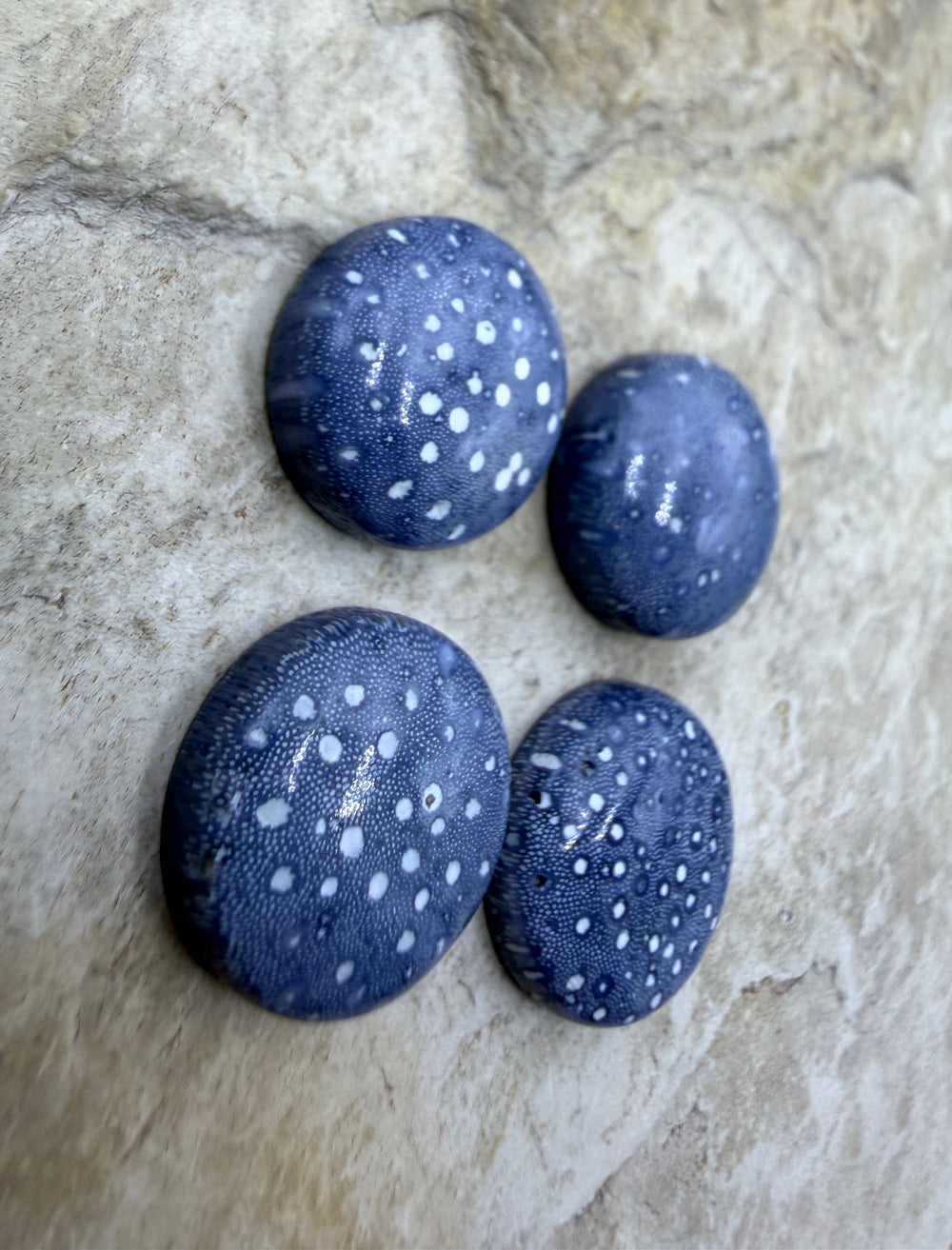 Blue Sponge Coral Calibrated Round Cabochons 15mm