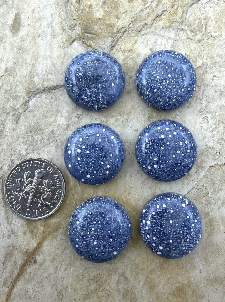 Blue Sponge Coral Calibrated Round Cabochons 18mm