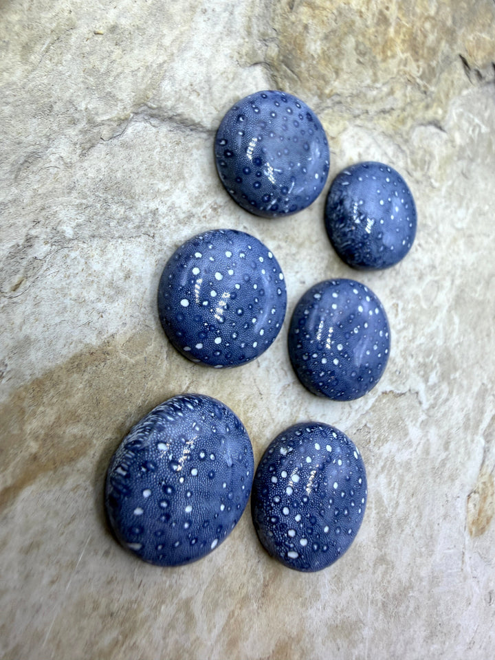 Blue Sponge Coral Calibrated Round Cabochons 18mm