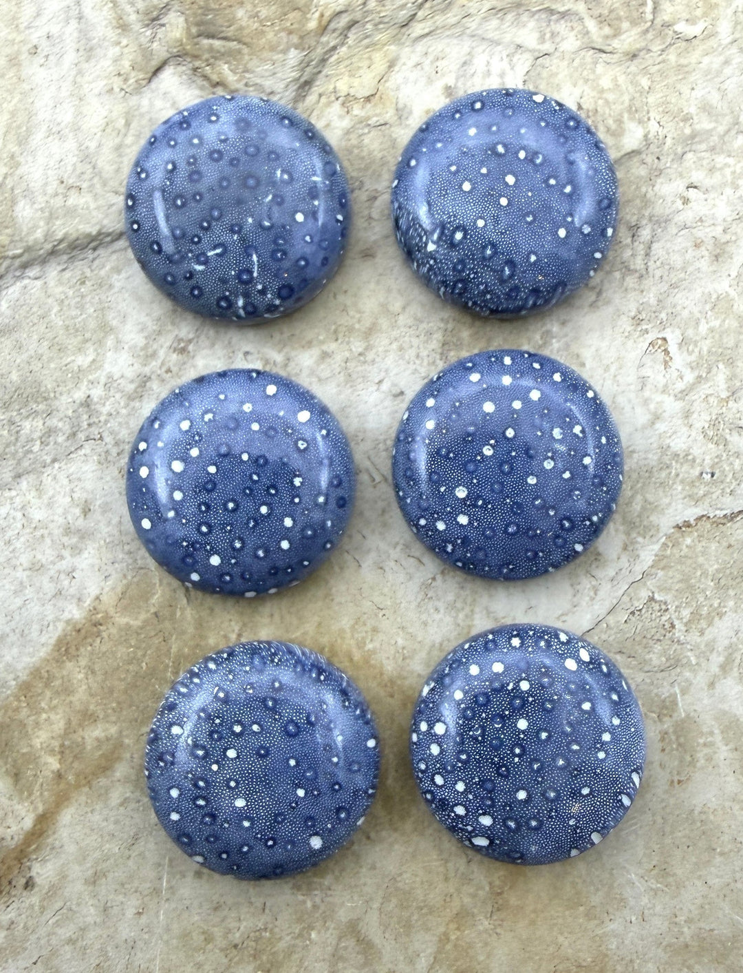 Blue Sponge Coral Calibrated Round Cabochons 18mm