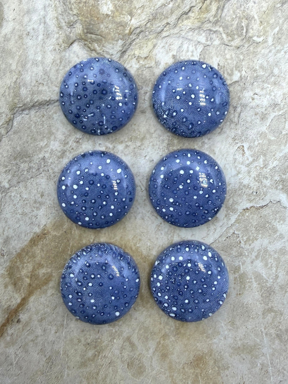 Blue Sponge Coral Calibrated Round Cabochons 18mm