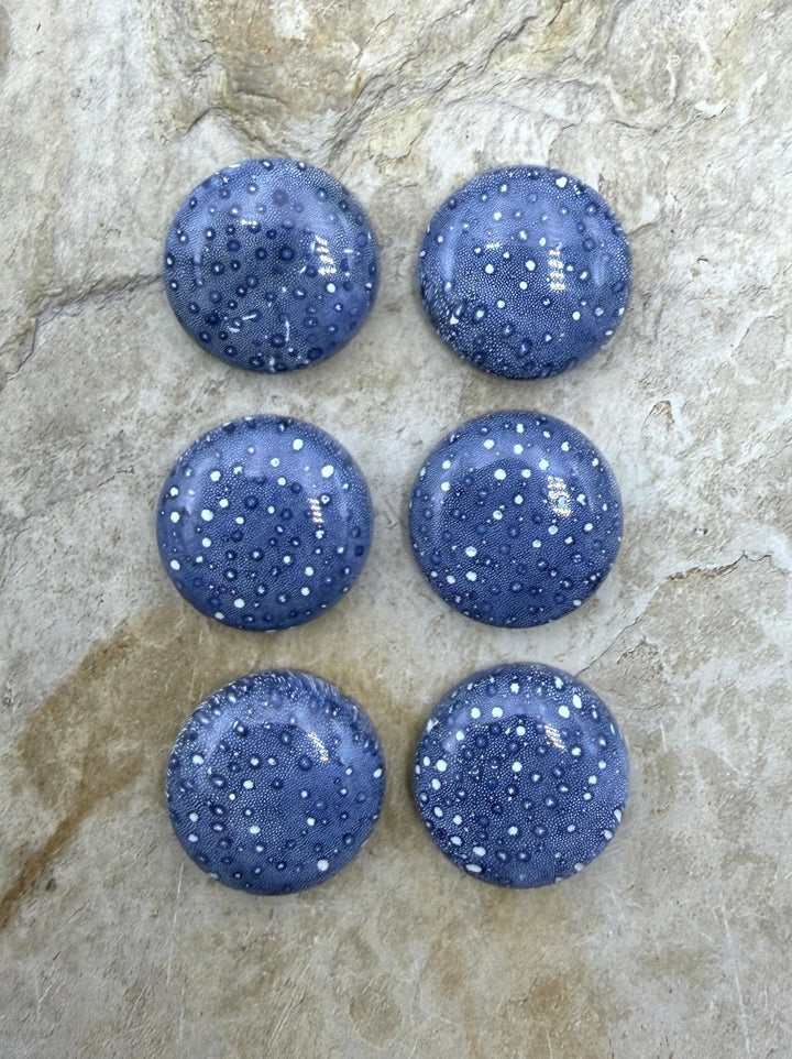Blue Sponge Coral Calibrated Round Cabochons 18mm
