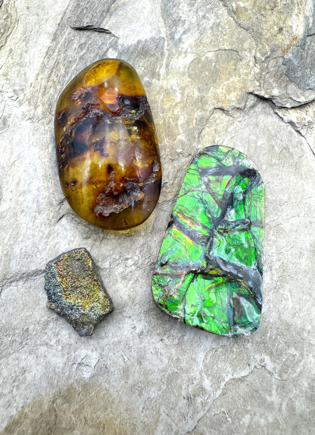 *Closeout DOORBUSTER* LOT of 3 Cabochons Amolite Amber