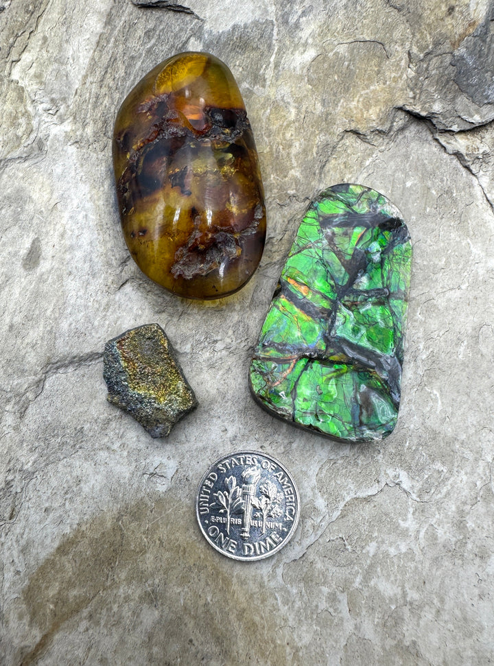 *Closeout DOORBUSTER* LOT of 3 Cabochons Amolite Amber