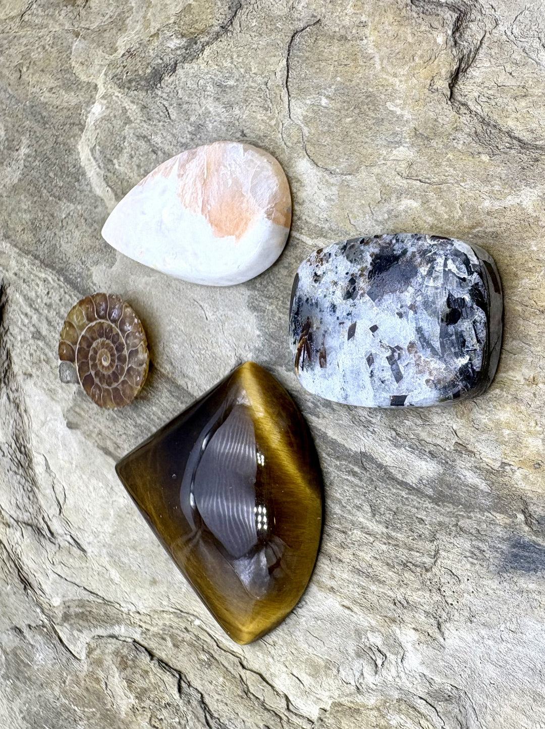 CLOSEOUT LOT 4 Cabochons Astrophylite Tiger Eye Ammonite