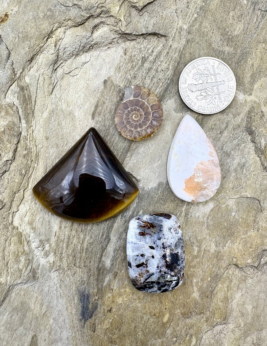 CLOSEOUT LOT 4 Cabochons Astrophylite Tiger Eye Ammonite