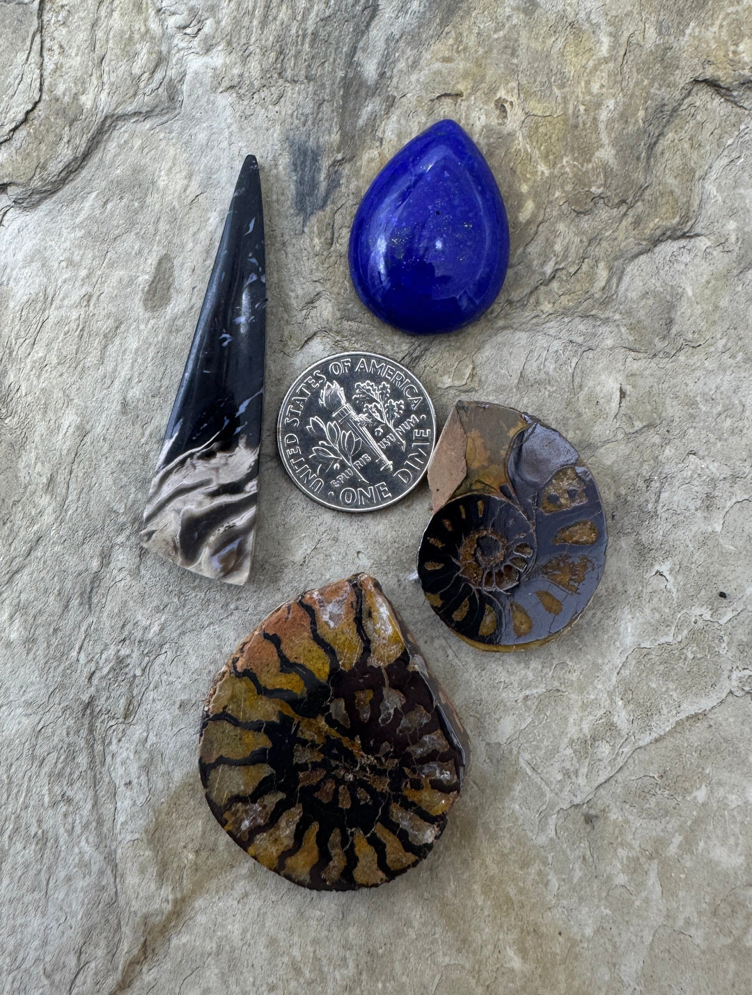 CLOSEOUT LOT 4 Designer Cabochons Palm Root Lapis