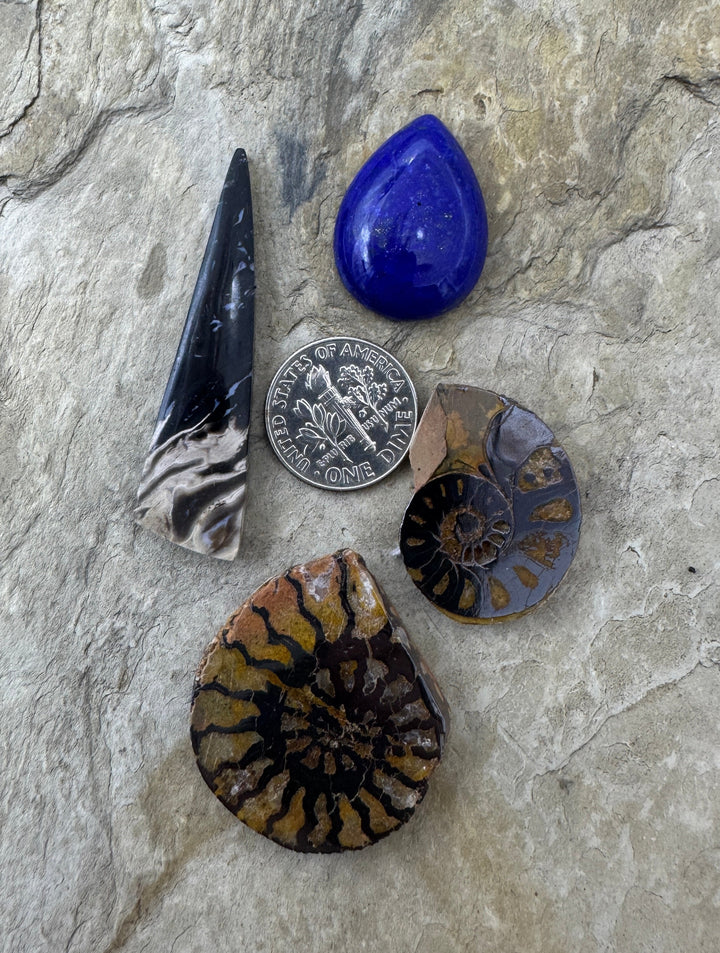 CLOSEOUT LOT 4 Designer Cabochons Palm Root Lapis