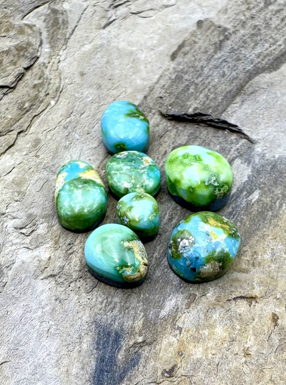 CLOSEOUT LOT of 7 Mini Sonora Gold Turquoise Cabochons