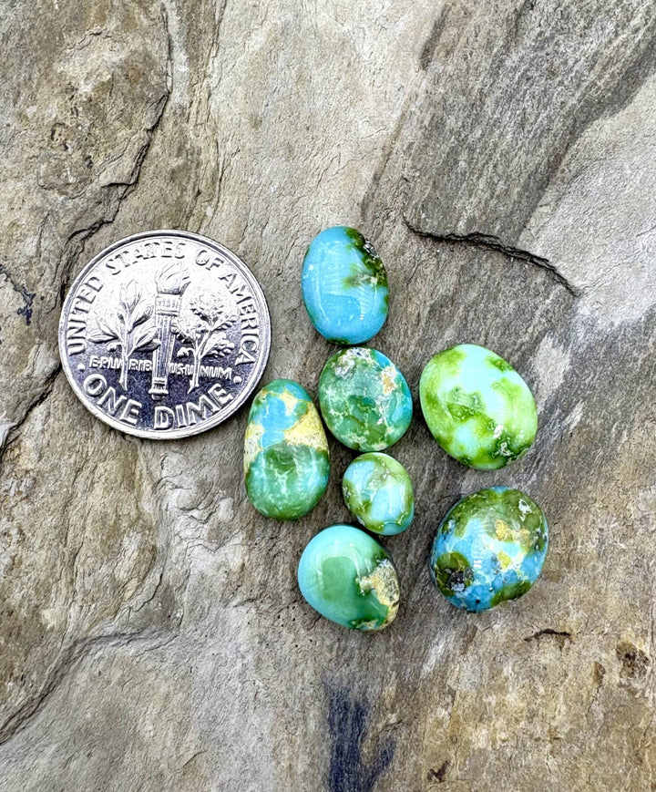 CLOSEOUT LOT of 7 Mini Sonora Gold Turquoise Cabochons