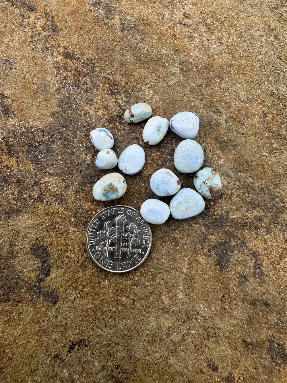 CLOSEOUT RARE Golden Hills Turquoise (Kazakhstan) Rounded