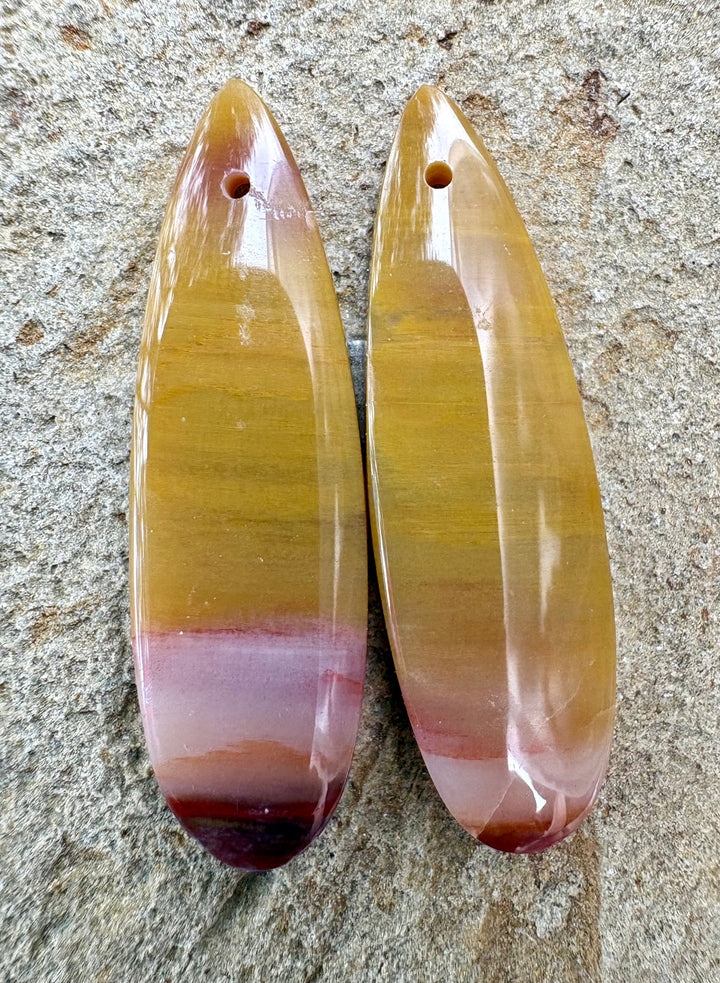 Colorful Petrified Wood Matching Earring Bead Slab Pair