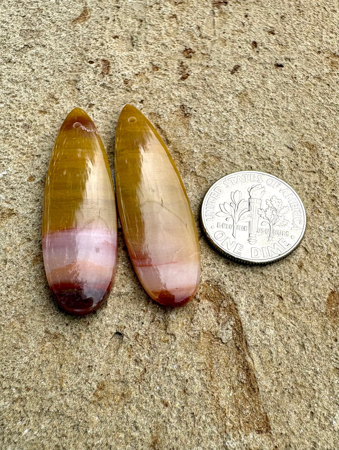 Colorful Petrified Wood Matching Earring Bead Slab Pair