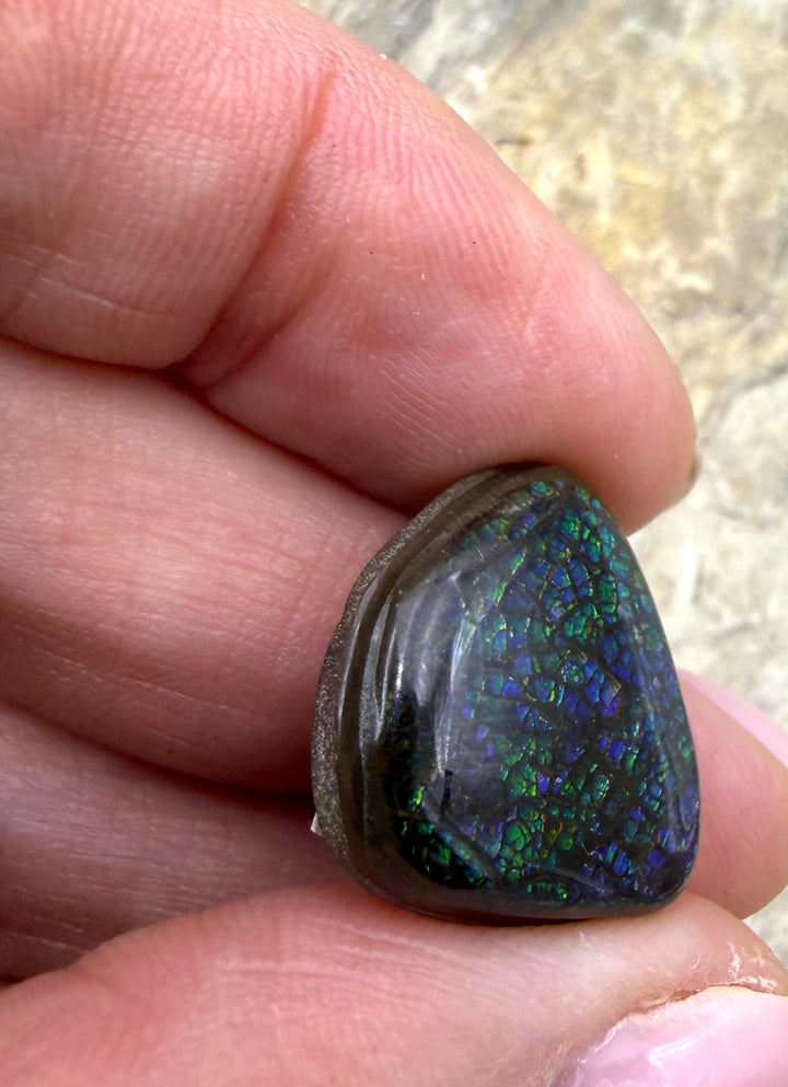 Dark Blue/Green Ammolite (Canada) Freeform Cabochon 19x20mm
