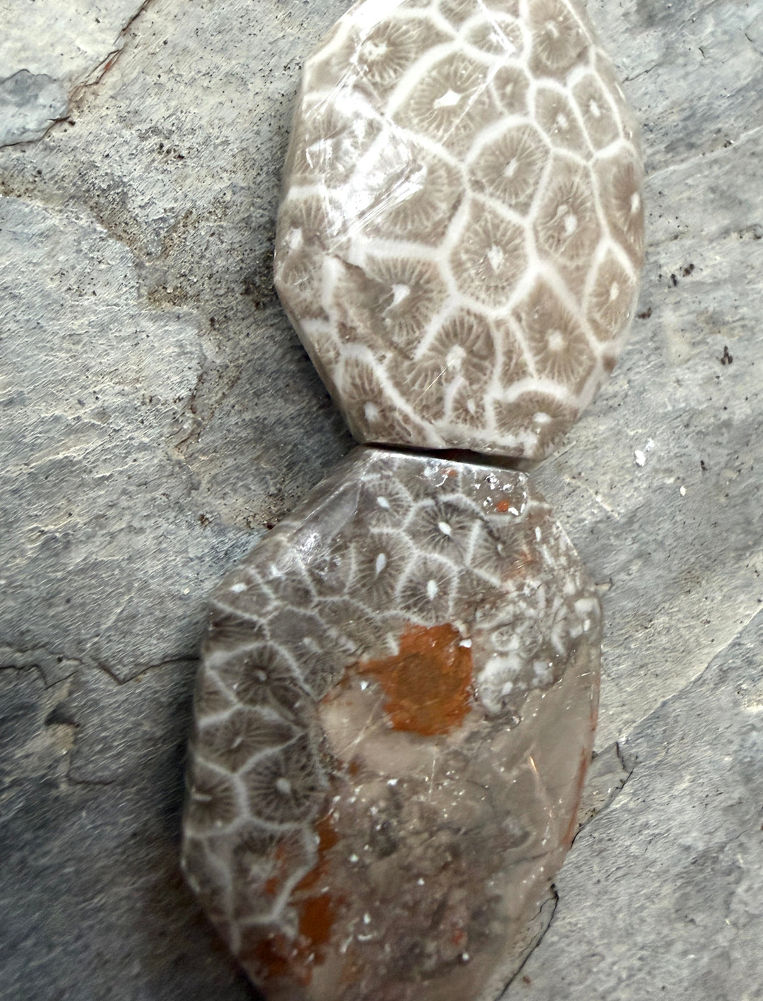 Fossil Coral BIG 27x37mm Faceted Bead Strand, 16 Inch Strand, 11 Beads