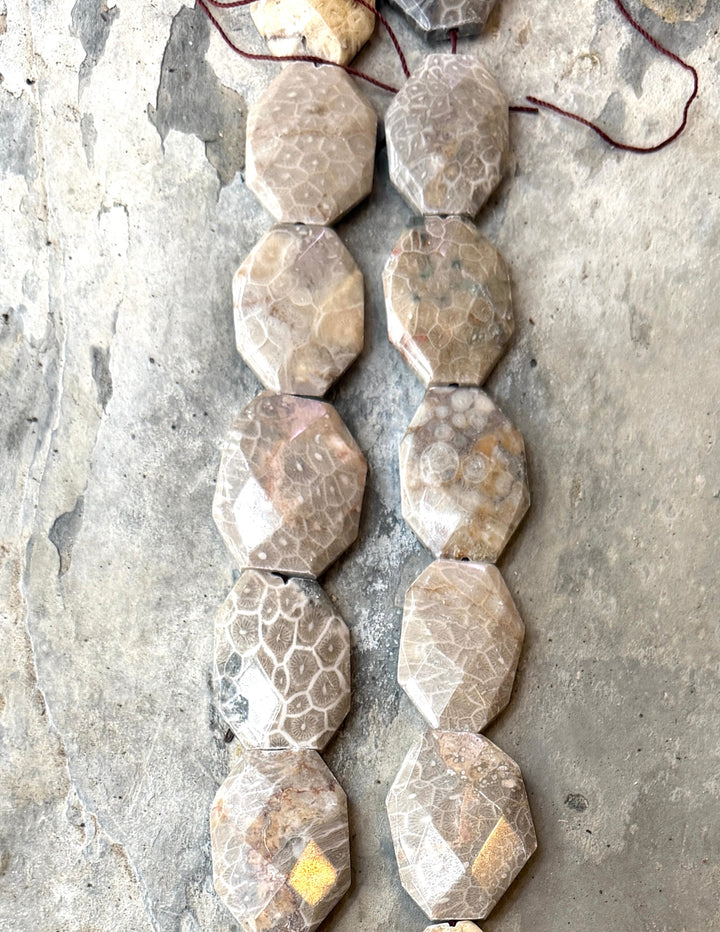 Fossil Coral BIG 27x37mm Faceted Bead Strand, 16 Inch Strand, 11 Beads