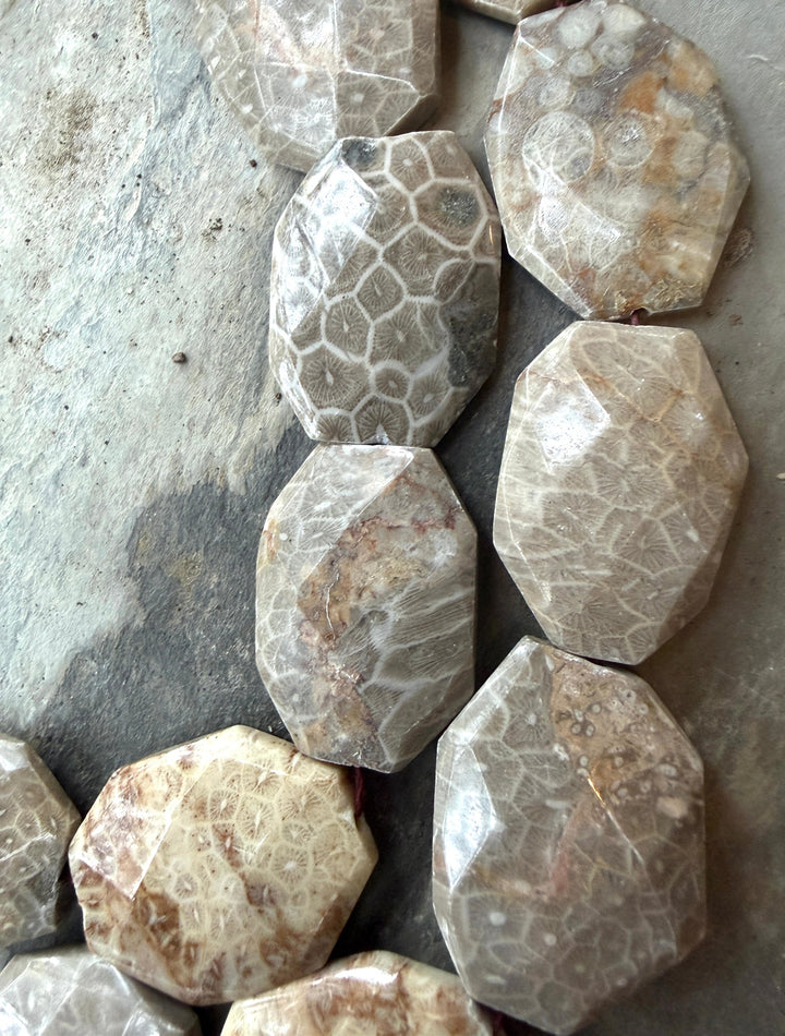 Fossil Coral BIG 27x37mm Faceted Bead Strand, 16 Inch Strand, 11 Beads