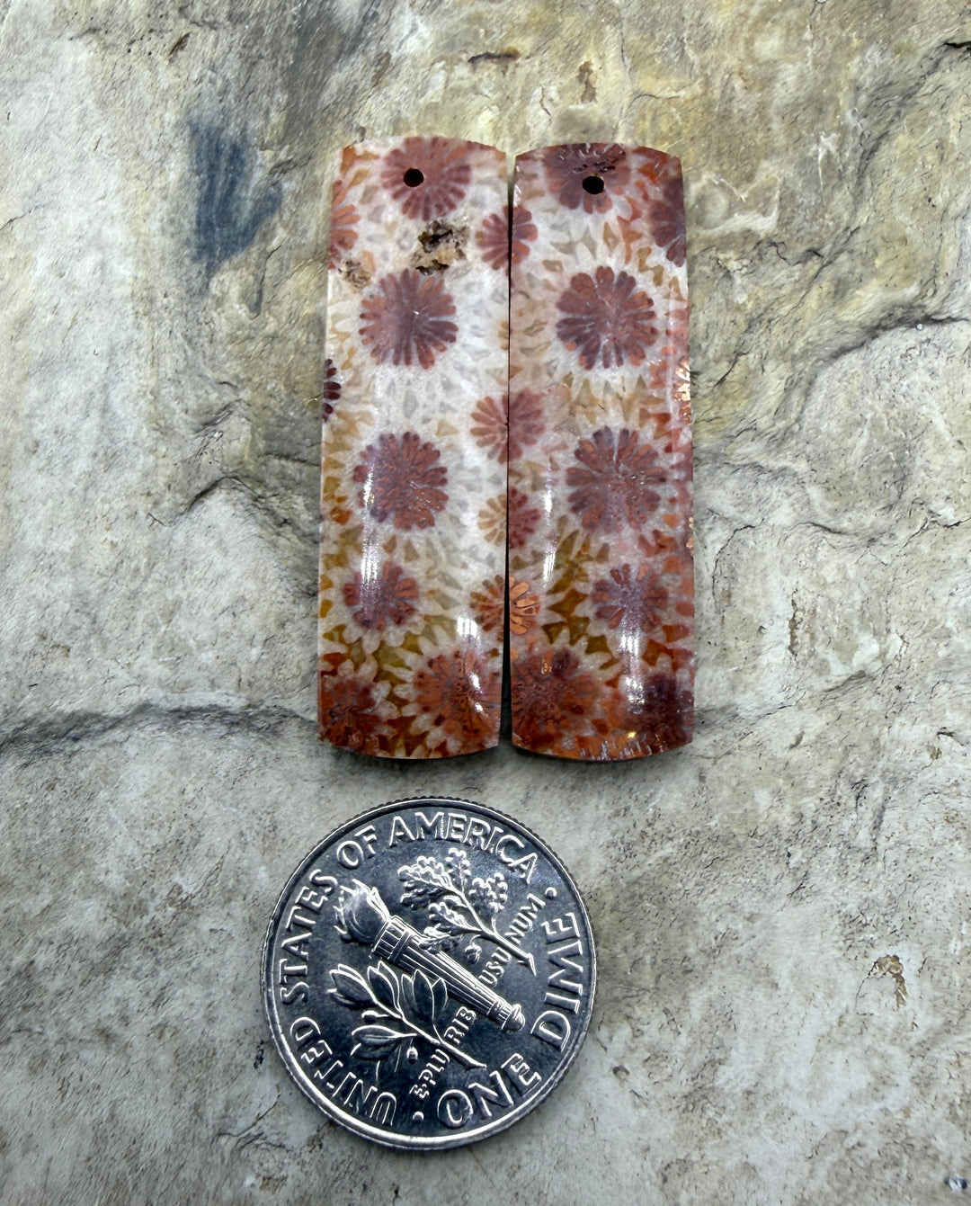 Fossil Coral BIG Matching Earring Slab Bead Pair 10x35mm
