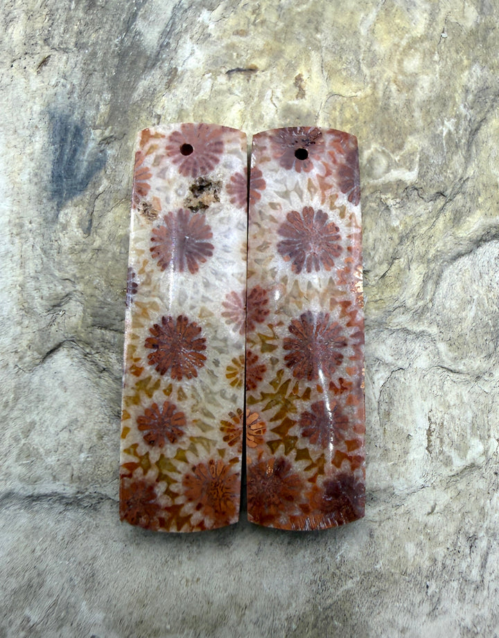 Fossil Coral BIG Matching Earring Slab Bead Pair 10x35mm