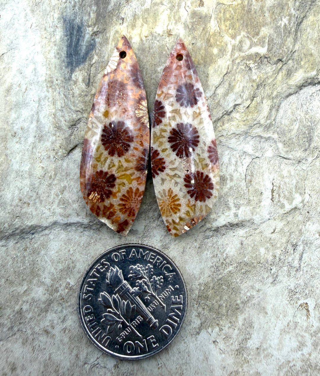 Fossil Coral BIG Matching Earring Slab Bead Pair 11x33mm