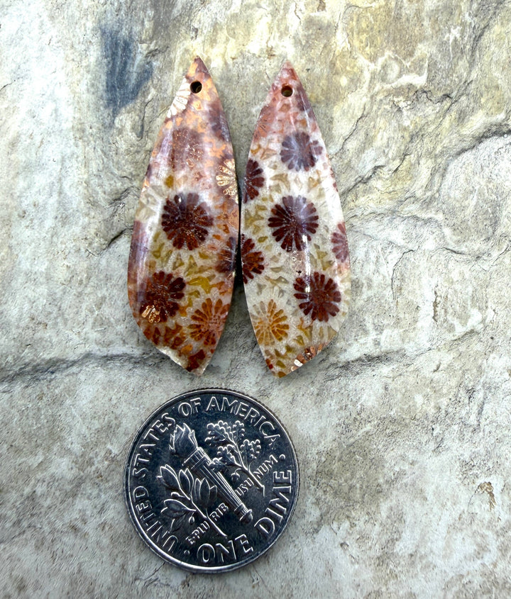 Fossil Coral BIG Matching Earring Slab Bead Pair 11x33mm
