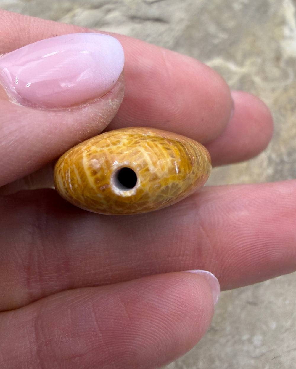 Fossil Coral Focal Bead 20x40x10mm - Fossil Coral