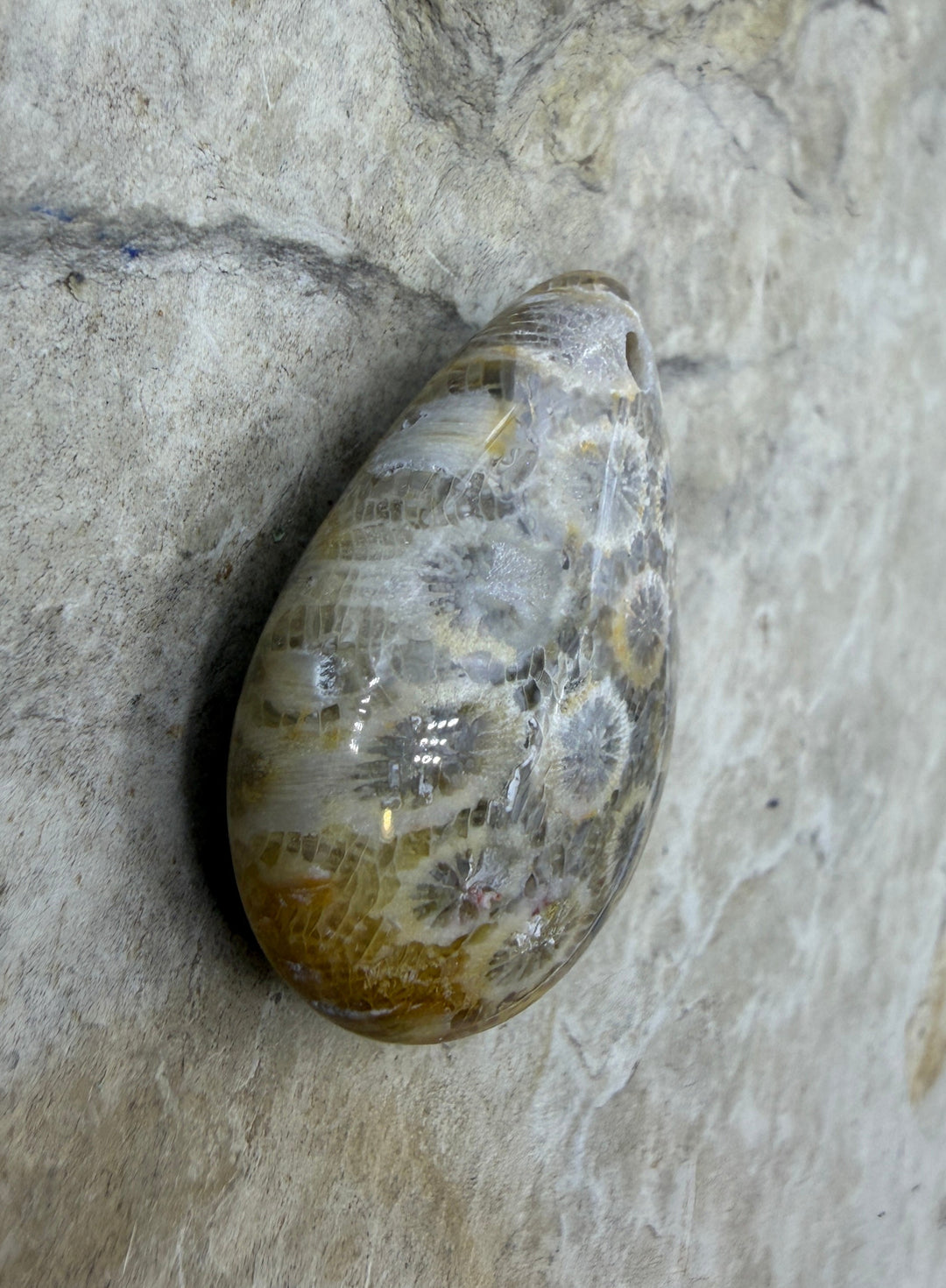 Fossil Coral MFocal Pendant Bead 22x30x10mm - Fossil Coral