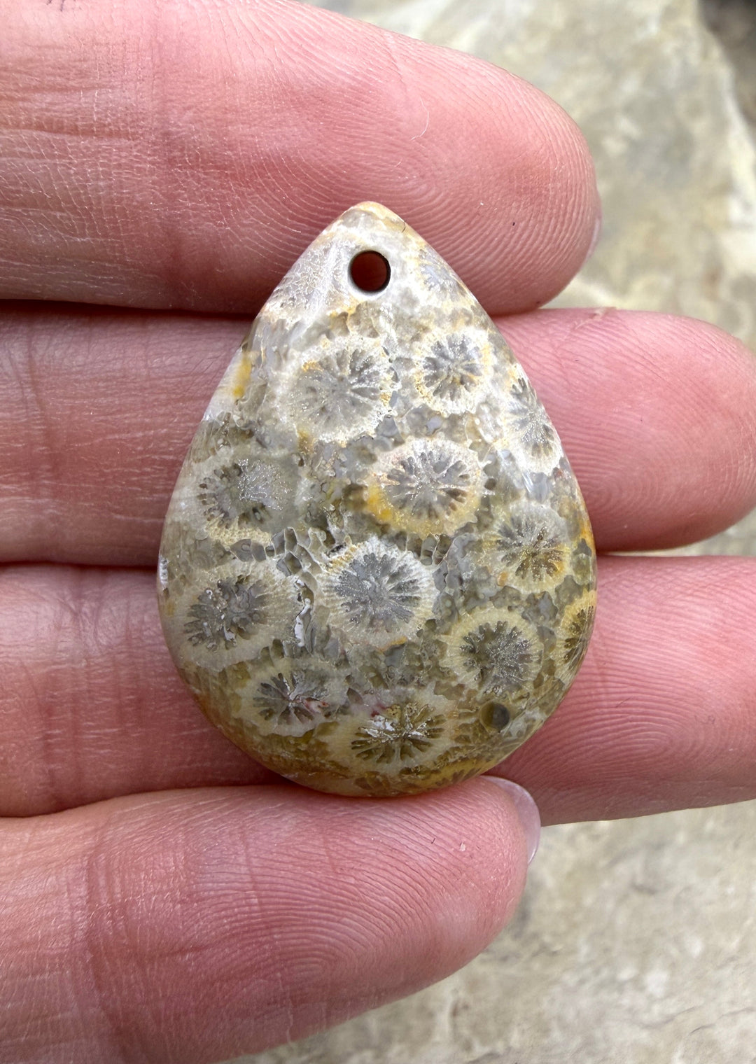 Fossil Coral MFocal Pendant Bead 22x30x10mm - Fossil Coral