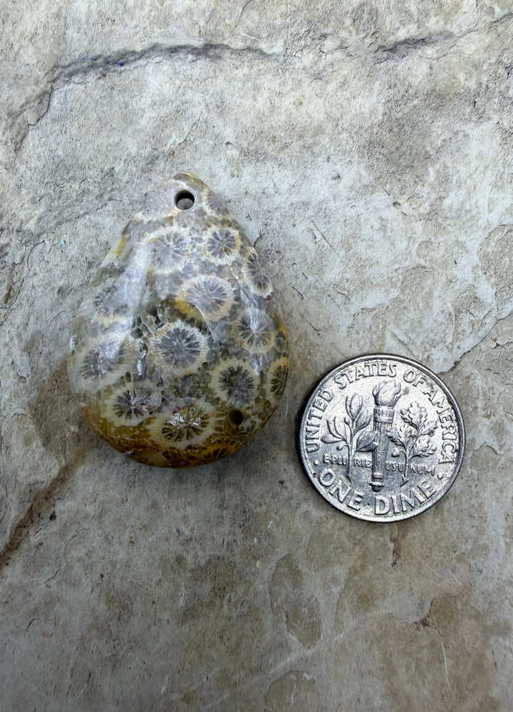 Fossil Coral MFocal Pendant Bead 22x30x10mm - Fossil Coral