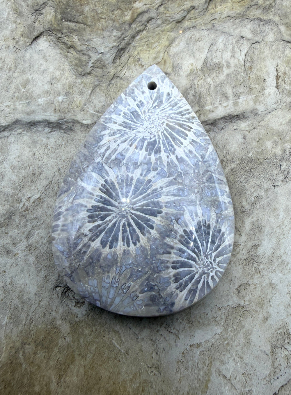 Fossil Coral Focal Pendant Bead 22x32mm - Fossil Coral