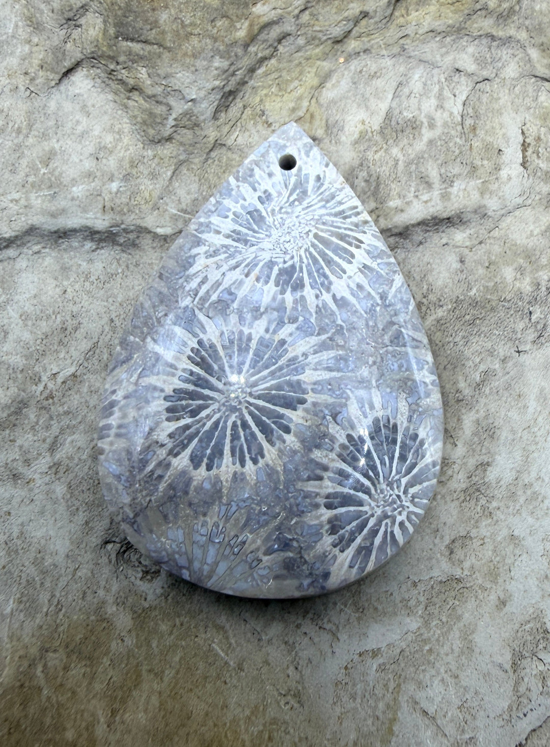 Fossil Coral Focal Pendant Bead 22x32mm - Fossil Coral