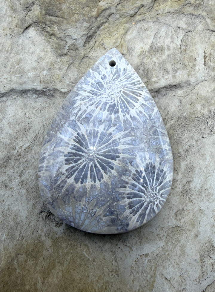 Fossil Coral Focal Pendant Bead 22x32mm - Fossil Coral