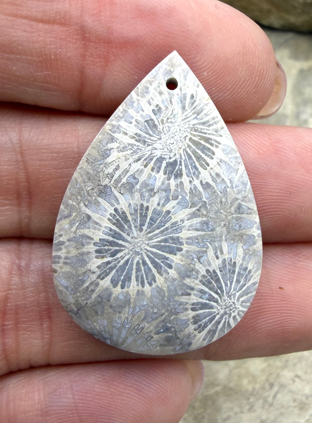 Fossil Coral Focal Pendant Bead 22x32mm - Fossil Coral