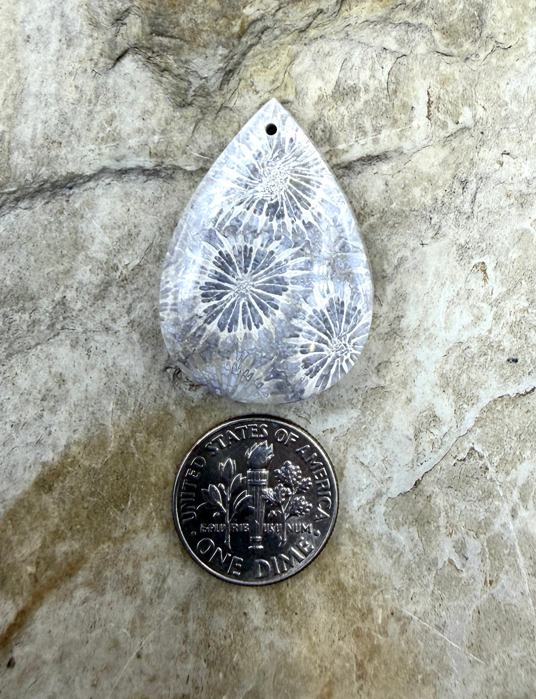 Fossil Coral Focal Pendant Bead 22x32mm - Fossil Coral