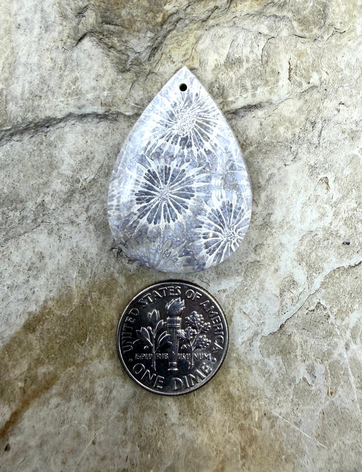 Fossil Coral Focal Pendant Bead 22x32mm - Fossil Coral