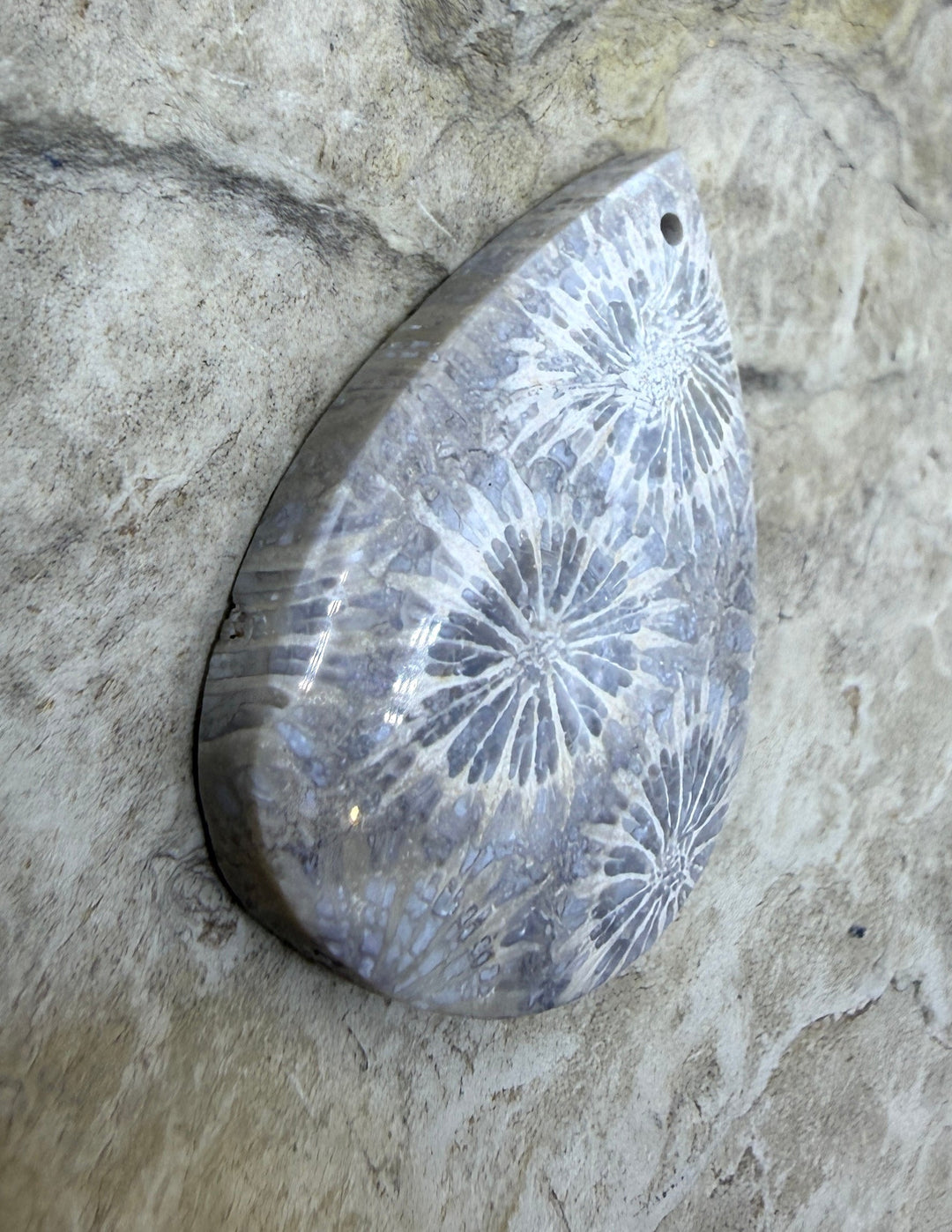 Fossil Coral Focal Pendant Bead 22x32mm - Fossil Coral
