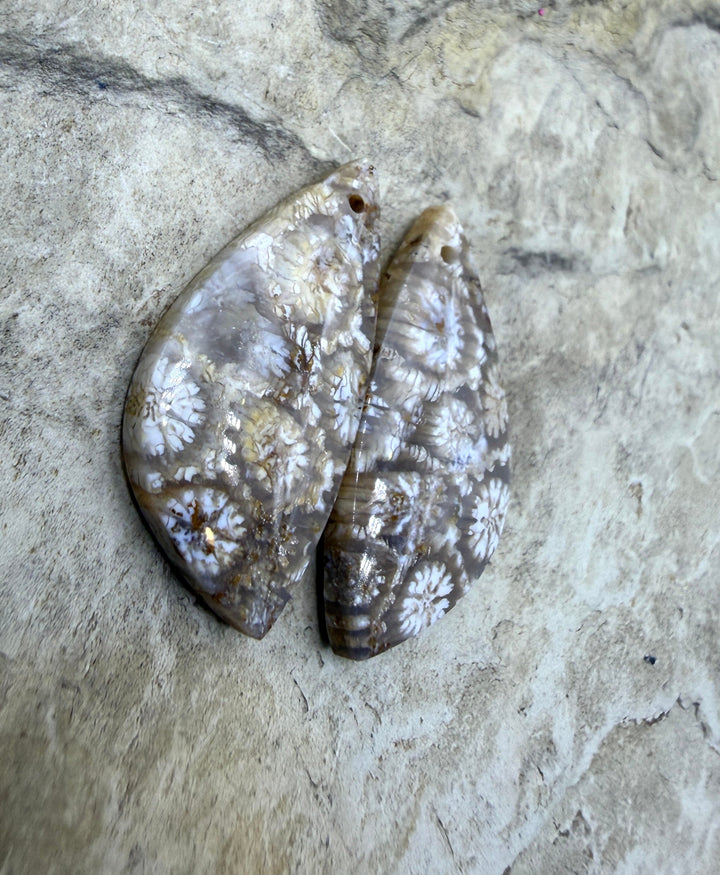 Fossil Coral Matching Earring Slab Bead Pair 13x25mm