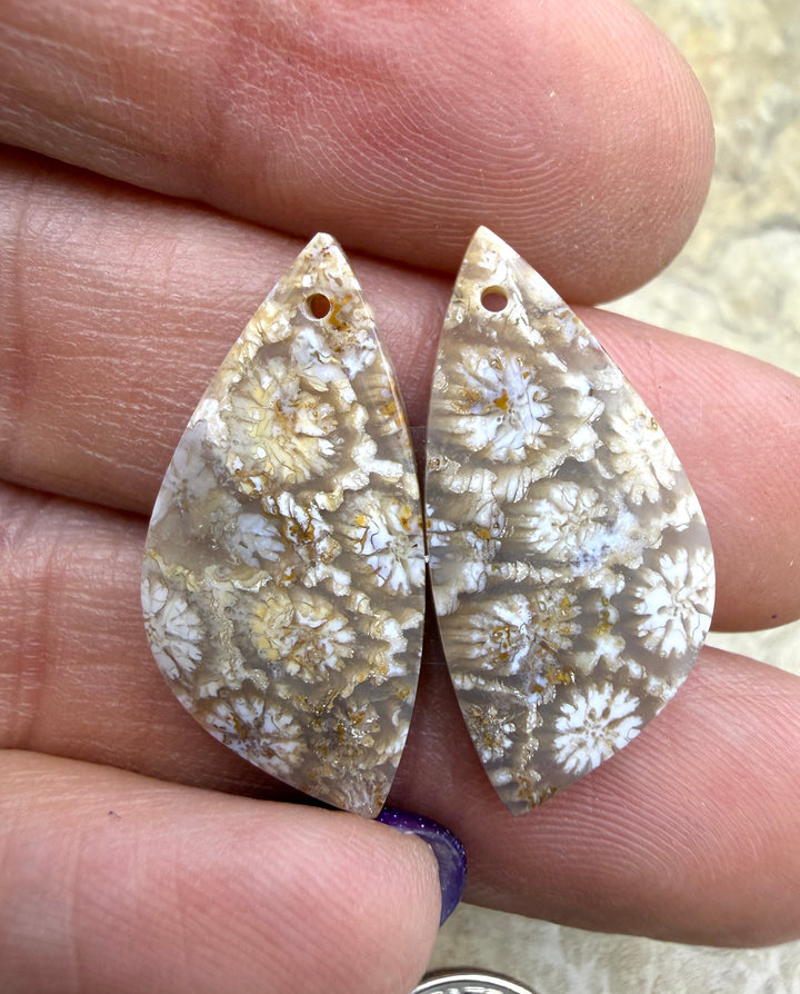 Fossil Coral Matching Earring Slab Bead Pair 13x25mm