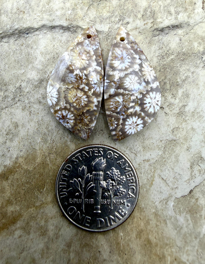 Fossil Coral Matching Earring Slab Bead Pair 13x25mm