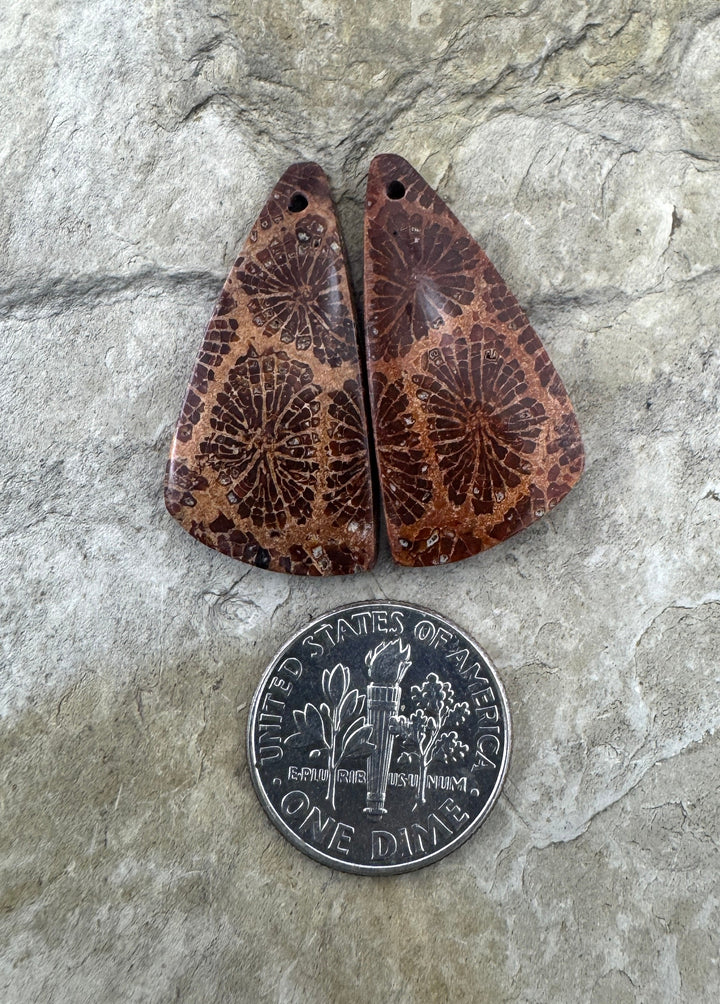 Fossil Coral Matching Earring Slab Bead Pair 14x29mm