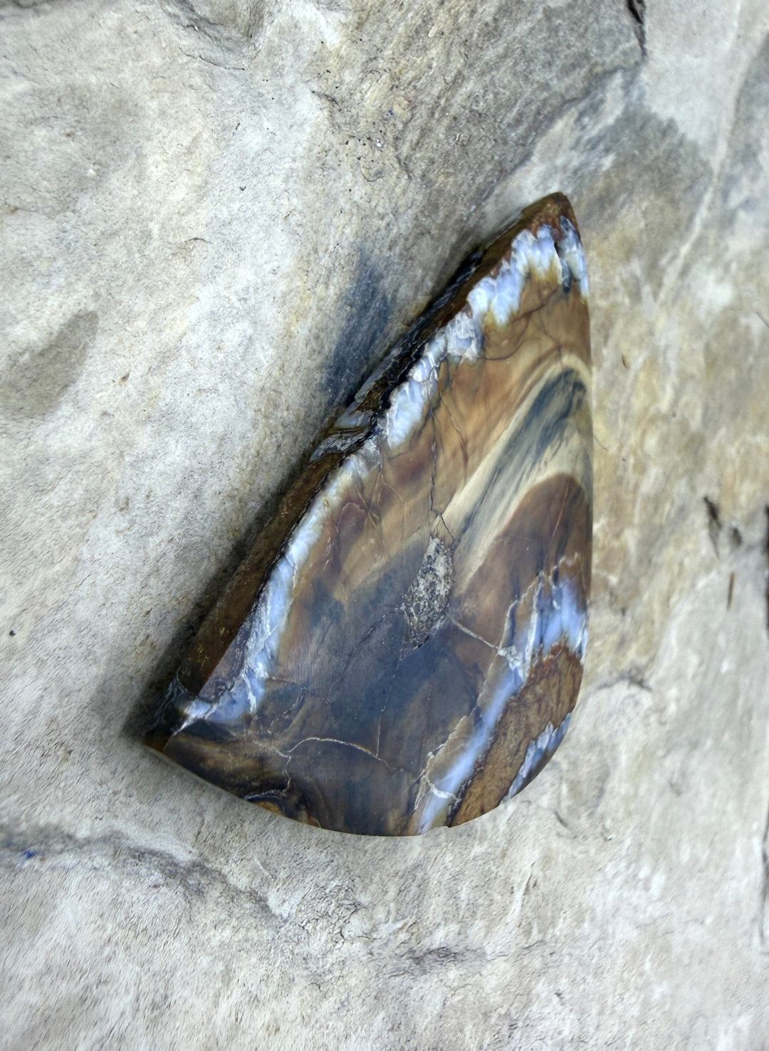 Fossilized Woolly Mammoth Tooth Focal Pendant Bead 29x45mm