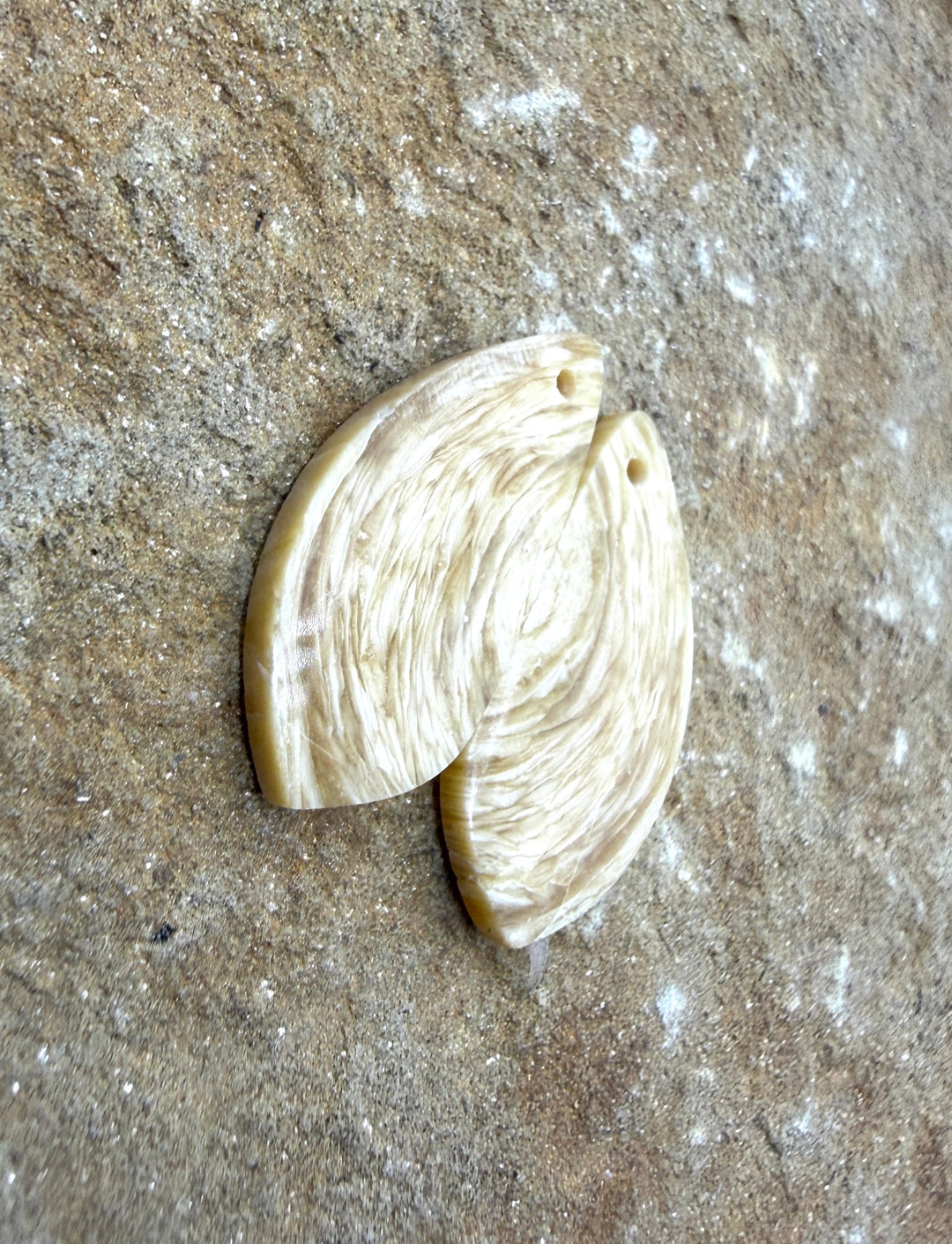 Fossilized Woolly Mammoth Tooth Matching Earring Slab Bead