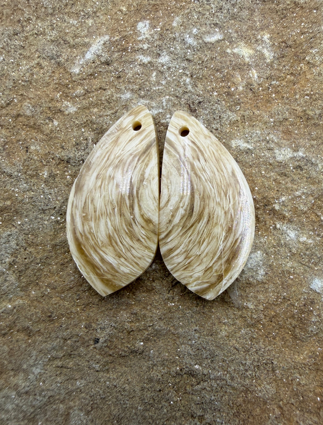 Fossilized Woolly Mammoth Tooth Matching Earring Slab Bead