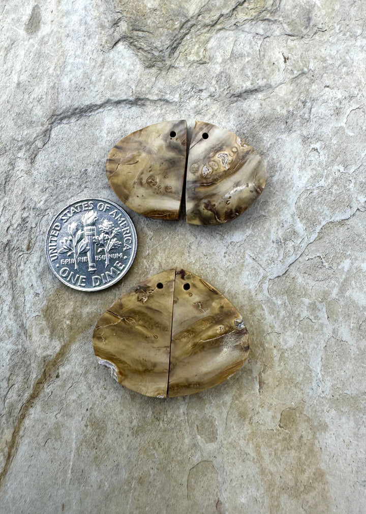 Fossilized Woolly Mammoth Tooth Matching Earring Slab Bead