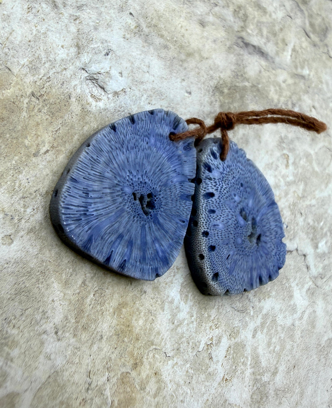 FRIDAY BARGAIN Blue Sponge Coral Matching Earring Slab Bead
